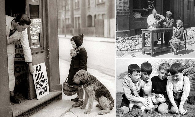 Kinh hoàng vụ thảm sát vật nuôi năm 1939 ở Anh: 750.000 thú cưng bị hóa kiếp chỉ trong 1 tuần - Ảnh 10. Kinh hoàng vụ thảm sát vật nuôi năm 1939 ở Anh: 750.000 thú cưng bị hóa kiếp chỉ trong 1 tuần - Ảnh 10.