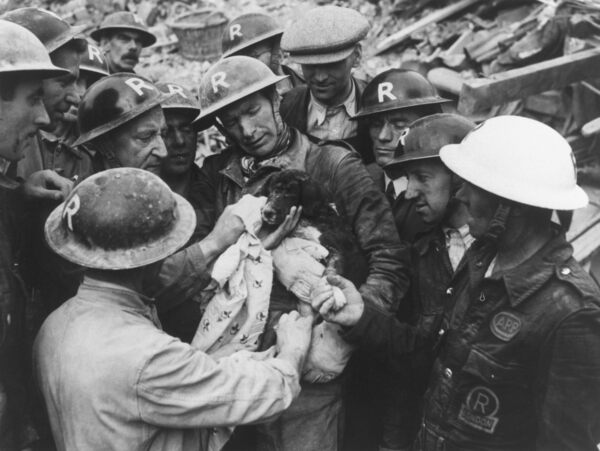 Kinh hoàng vụ thảm sát vật nuôi năm 1939 ở Anh: 750.000 thú cưng bị hóa kiếp chỉ trong 1 tuần - Ảnh 8. Kinh hoàng vụ thảm sát vật nuôi năm 1939 ở Anh: 750.000 thú cưng bị hóa kiếp chỉ trong 1 tuần - Ảnh 8.