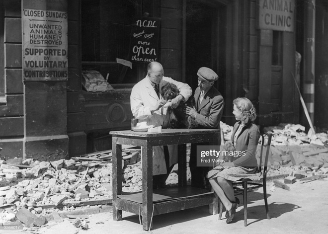 Kinh hoàng vụ thảm sát vật nuôi năm 1939 ở Anh: 750.000 thú cưng bị hóa kiếp chỉ trong 1 tuần - Ảnh 4. Kinh hoàng vụ thảm sát vật nuôi năm 1939 ở Anh: 750.000 thú cưng bị hóa kiếp chỉ trong 1 tuần - Ảnh 4.