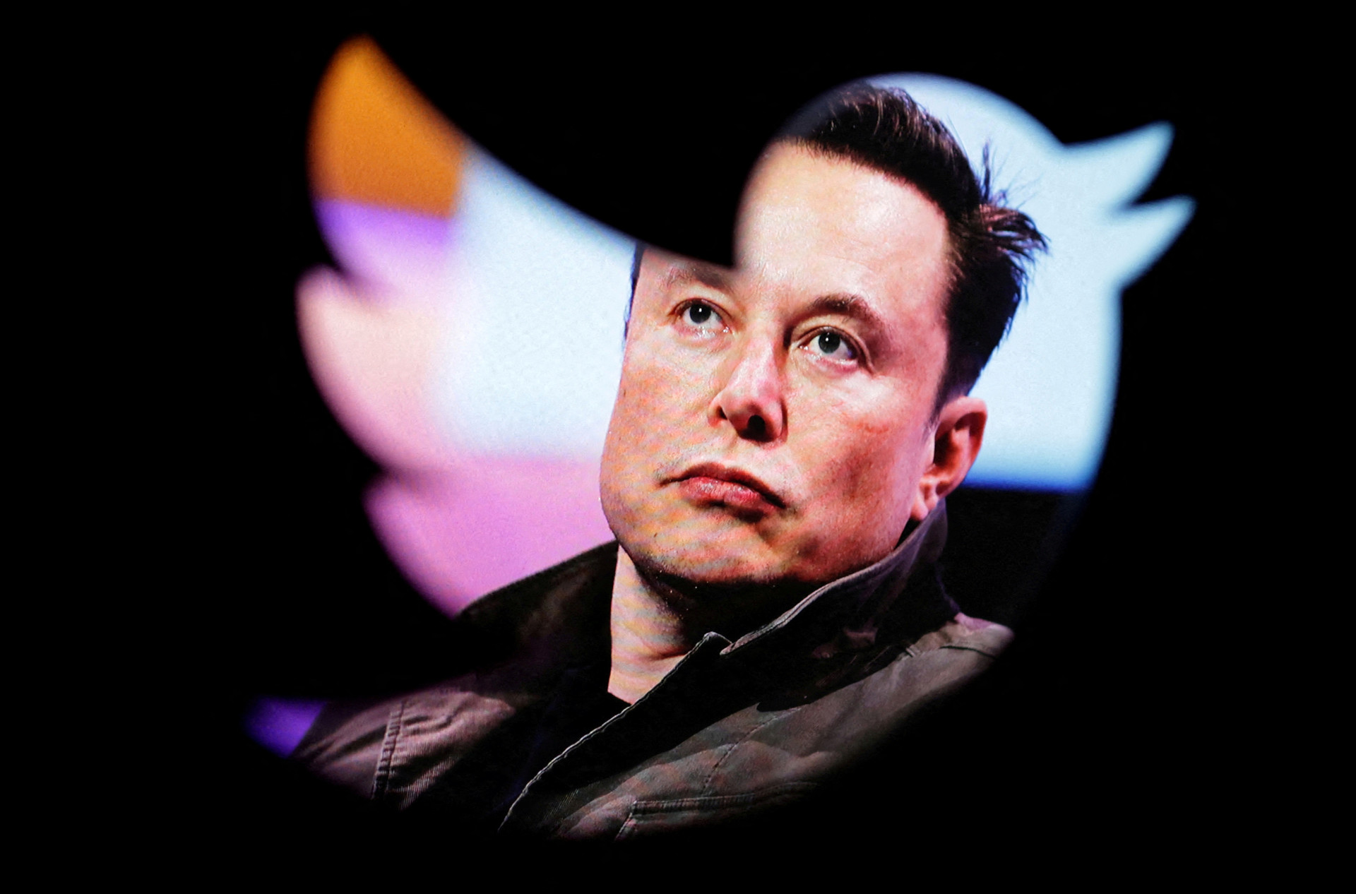 Kịch bản tồi tệ khi Elon Musk khai tử Twitter: Thế giới mất núi dữ liệu, đến Facebook hay TikTok cũng không thể thay thế - Ảnh 1. Kịch bản tồi tệ khi Elon Musk khai tử Twitter: Thế giới mất núi dữ liệu, đến Facebook hay TikTok cũng không thể thay thế - Ảnh 1.