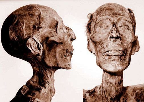 Trí tuệ nhân tạo giúp phục dựng thành công khuôn mặt của pharaoh Ai Cập từ xác ướp - Ảnh 2. Trí tuệ nhân tạo giúp phục dựng thành công khuôn mặt của pharaoh Ai Cập từ xác ướp - Ảnh 2.