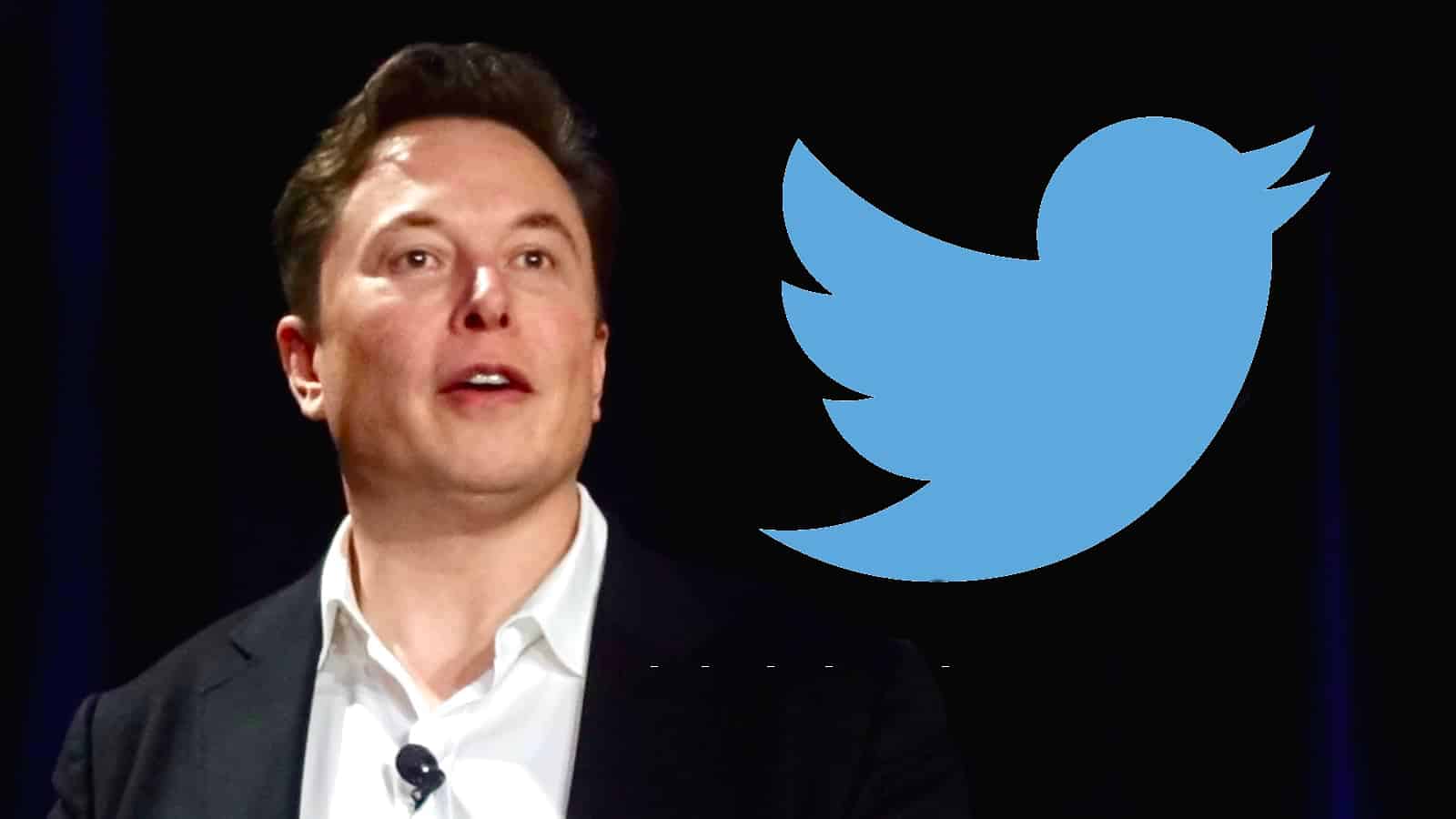 Elon Musk lên nắm quyền, Twitter Gaming gần như dừng hoạt động - Ảnh 1. Elon Musk lên nắm quyền, Twitter Gaming gần như dừng hoạt động - Ảnh 1.