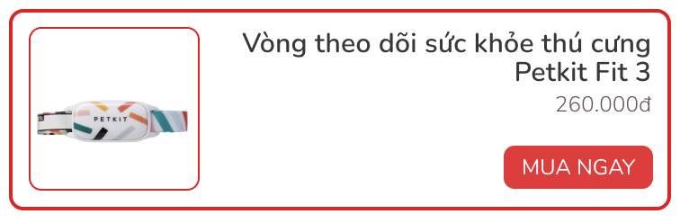 Dùng thử vòng theo dõi sức khỏe thú cưng Petkit Fit 3: Rẻ, đẹp, pin siêu bền - Ảnh 9. Dùng thử vòng theo dõi sức khỏe thú cưng Petkit Fit 3: Rẻ, đẹp, pin siêu bền - Ảnh 9.