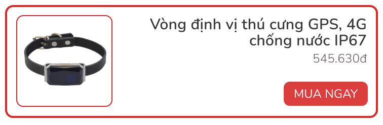 Dùng thử vòng theo dõi sức khỏe thú cưng Petkit Fit 3: Rẻ, đẹp, pin siêu bền - Ảnh 12. Dùng thử vòng theo dõi sức khỏe thú cưng Petkit Fit 3: Rẻ, đẹp, pin siêu bền - Ảnh 12.