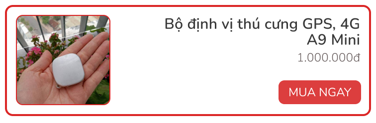 Dùng thử vòng theo dõi sức khỏe thú cưng Petkit Fit 3: Rẻ, đẹp, pin siêu bền - Ảnh 13. Dùng thử vòng theo dõi sức khỏe thú cưng Petkit Fit 3: Rẻ, đẹp, pin siêu bền - Ảnh 13.