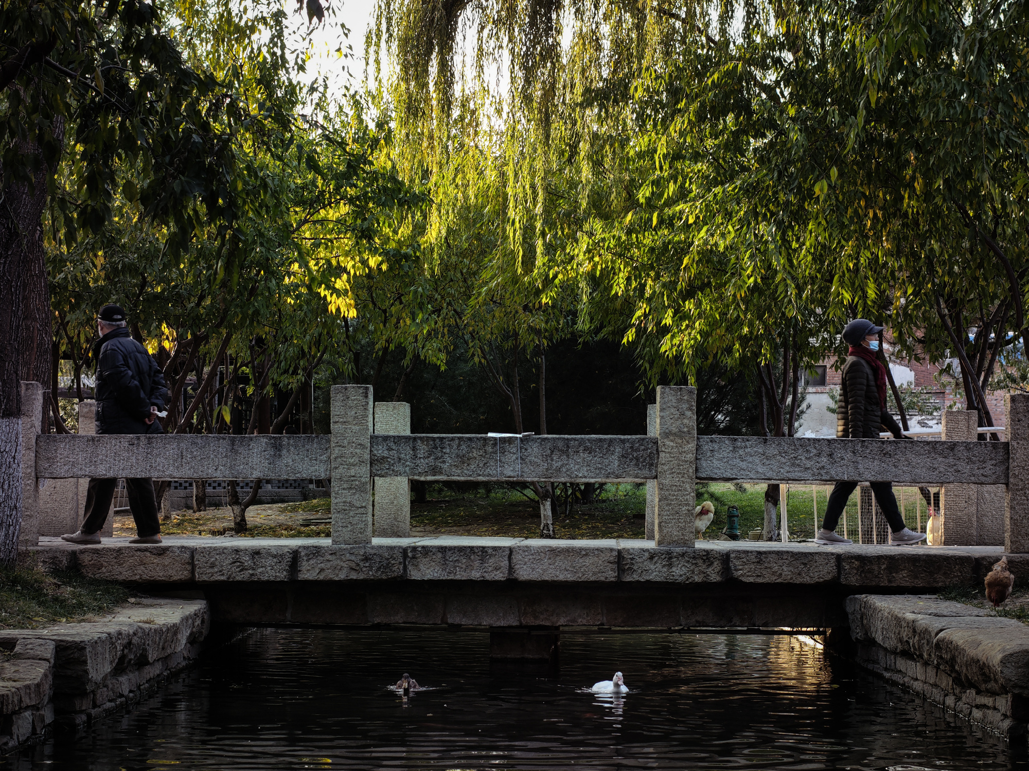 xiaomi-12s-ultra-leica-samples-6-1667640018027793959132-1667652205643-1667652205949488183071